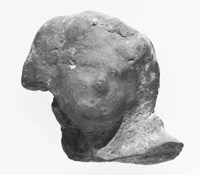 Female Head