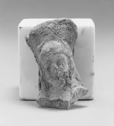 Female Head