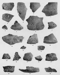 VARIOUS (VUCEDOL)