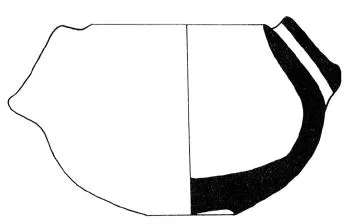AMPHORA, BELLY, FRAGMENT (EAST GREEK, BLACK-FIGURE)