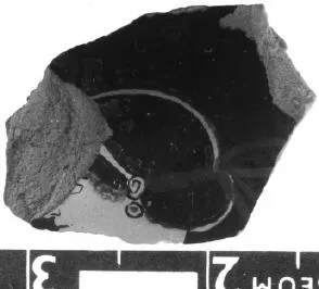 STAMNOS, FRAGMENT (ATHENIAN, RED-FIGURE)