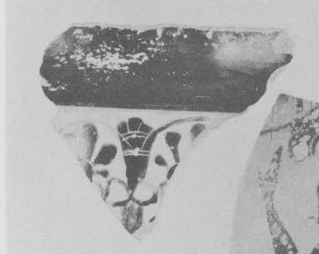 AMPHORA, NECK, FRAGMENT (ATHENIAN, BLACK-FIGURE)