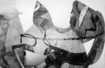 AMPHORA, NECK, FRAGMENT (ATHENIAN, BLACK-FIGURE)