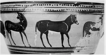 SKYPHOS (ATHENIAN, BLACK-FIGURE)