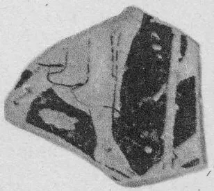CUP, FRAGMENT (ATHENIAN, RED-FIGURE)