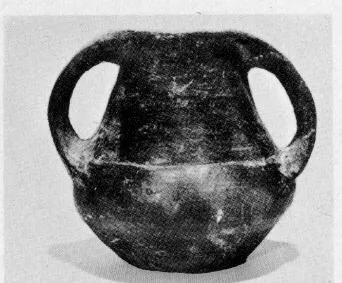 AMPHORA, BELLY (SOUTH ITALIAN, IMPASTO)