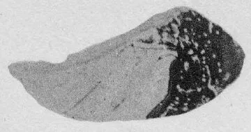 FRAGMENT (ATHENIAN, RED-FIGURE)