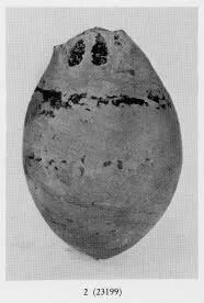 ALABASTRON FRAGMENT (ETRUSCO-CORINTHIAN)