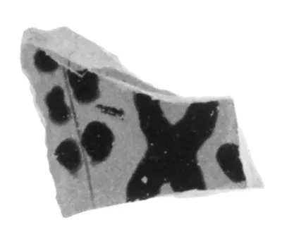 Attic Black-Figure Eye Cup Fragment
