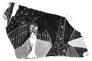 AMPHORA, BELLY, FRAGMENT (ATHENIAN, BLACK-FIGURE)