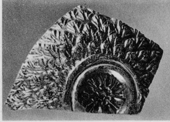 SKYPHOS, FRAGMENT (MEGARIAN, RELIEF)