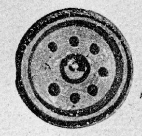 LID, FRAGMENT (PROTOATTIC)