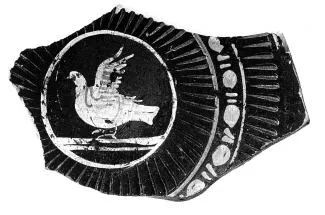 CUP, FRAGMENT (SOUTH ITALIAN, GNATHIAN, RED-FIGURE)
