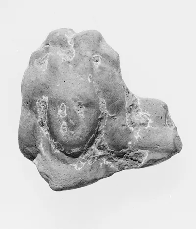 Female Head
