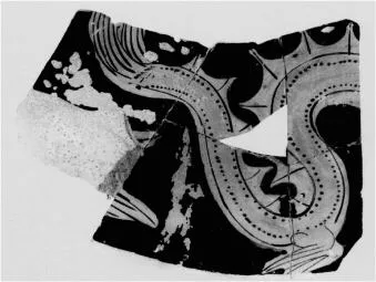 FISH PLATE, FRAGMENT (ATHENIAN, RED-FIGURE)