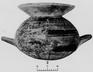 OLLA (DAUNIAN)