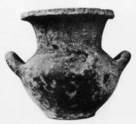 AMPHORA, BELLY (VILLA NOVA)