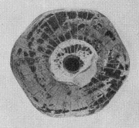 FIGURE VASE (IONIAN)