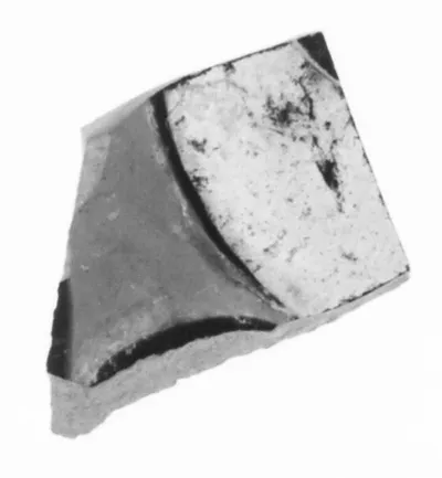 Attic Black-Figure Eye Cup Fragment