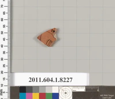 Terracotta fragment of a kylix (drinking cup)