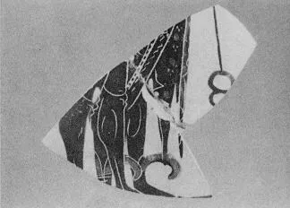 OINOCHOE, FRAGMENT (ATHENIAN, BLACK-FIGURE)