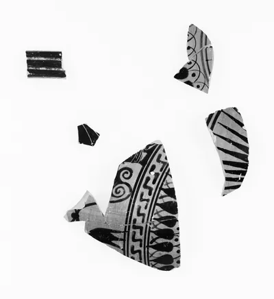 Attic Black-Figure Neck Amphora Fragments (8)