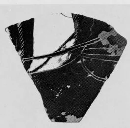 AMPHORA (?), FRAGMENT (ATHENIAN, BLACK-FIGURE)