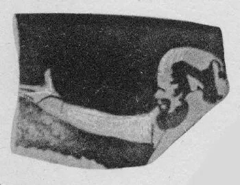 CUP, FRAGMENT (ATHENIAN, RED-FIGURE)