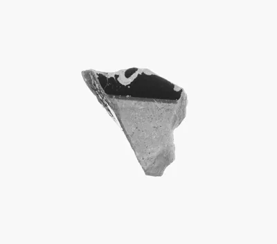 Attic Black-Figure Vase Fragment