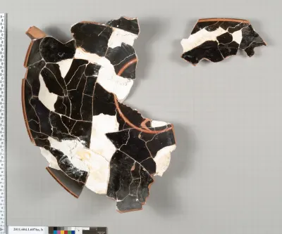 Terracotta fragments of a kylix (drinking cup)