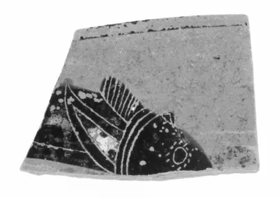 Attic Black-Figure Siana Cup Fragment