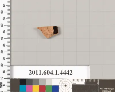 Terracotta fragment of a kylix (drinking cup)