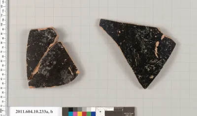 Terracotta fragments of kraters (mixing bowls)?