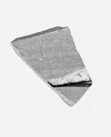 Attic Black-Figure Amphora Fragment