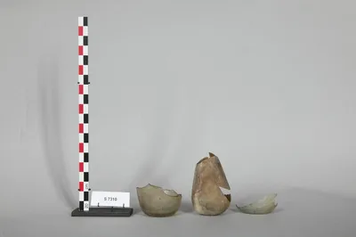 vase