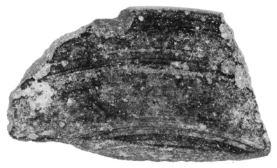 Undecorated Base Fragment