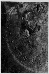 CUP, STEMLESS, FRAGMENT (SOUTH ITALIAN, CAMPANIAN, RELIEF)