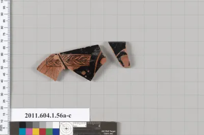Terracotta fragments of a kylix (drinking cup)