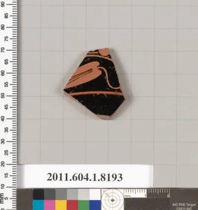 Terracotta fragment of a kylix (drinking cup)