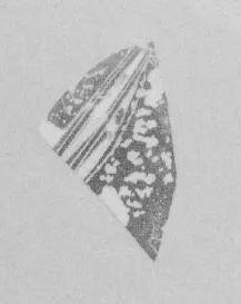 AMPHORA (?), FRAGMENT (ATHENIAN, BLACK-FIGURE)