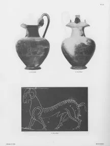 OINOCHOE (ETRUSCAN, BUCCHERO)