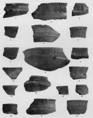 VARIOUS (VUCEDOL)