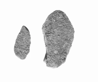 Fragment