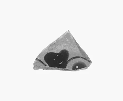 Attic Black-Figure Vase Fragment