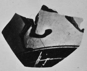 SKYPHOS, FRAGMENT (ATHENIAN, BLACK-FIGURE)