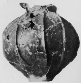 JAR (ITALIAN IRON AGE)