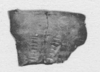 CUP, FRAGMENT (GALLIC)