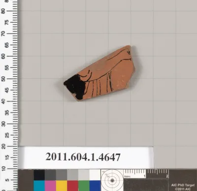 Terracotta fragment of a kylix (drinking cup)