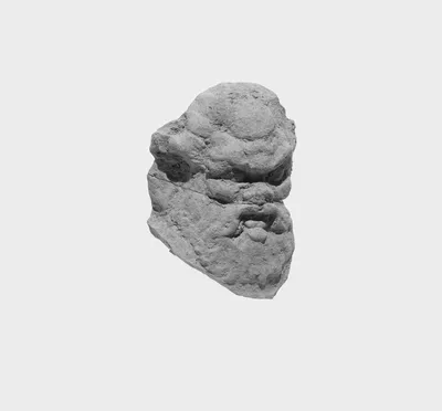 Head of Silen or Papposilenos(?)