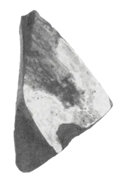 Attic Red-Figure Duck Askos Fragment
